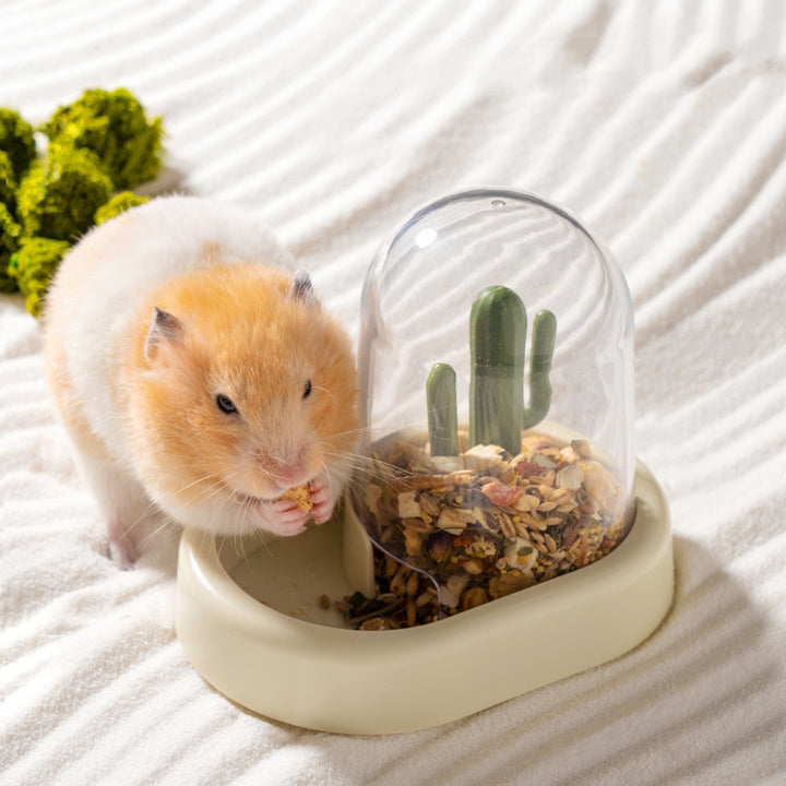 Creative Cactus Automatic Feeder For Pet Cage Food System
